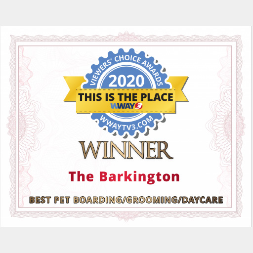 Graphic of The Barkington 2020 Viewers Choice Award